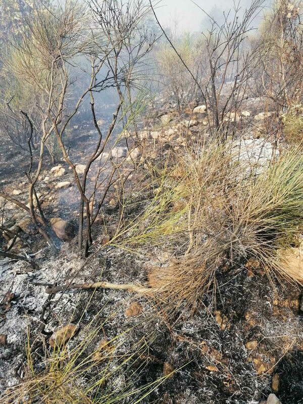 Incendio tra Sala e Padula: vegetazione secca e vento creano difficoltà nello spegnimento