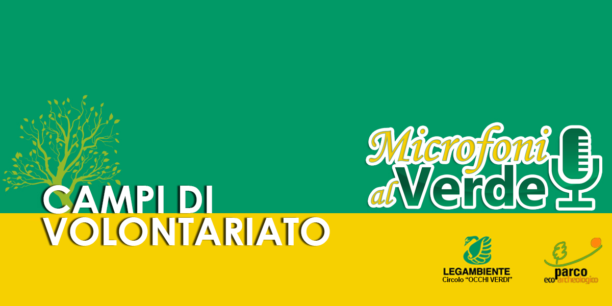 Puntata n.8 – Campi di Volontariato