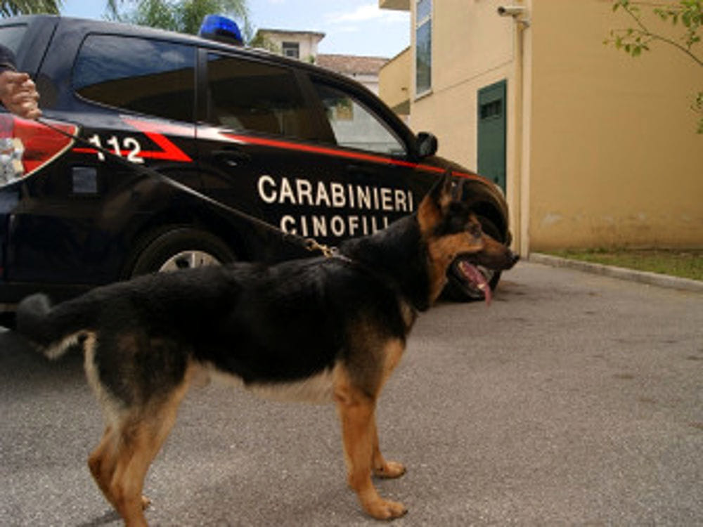 Traffico di droga tra Salerno, Avellino e Firenze: scattano 26 arresti