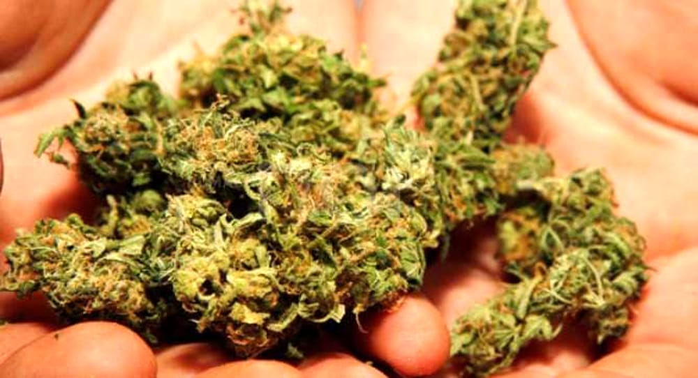 Oltre 1 kg di marijuana nello zaino: un arresto a Capaccio
