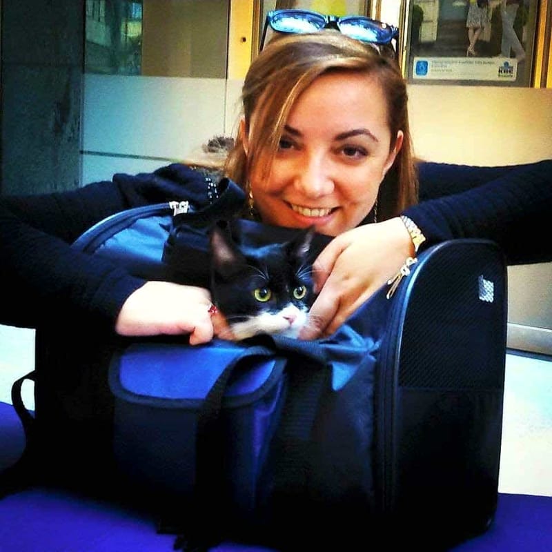 “Da tre anni a Salerno non c’è il Garante degli Animali”: la denuncia di Isabella Adinolfi (M5S)