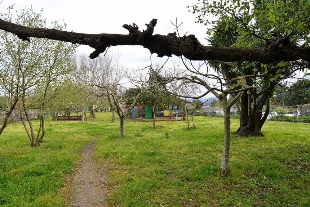 Laboratori nel parco eco-archeologico di Pontecagnano: tanto svago per bambini
