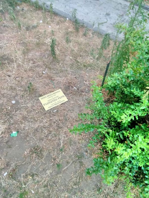 Indignazione a Pagani, vandalizzata la pianta dedicata a Floriano Pepe