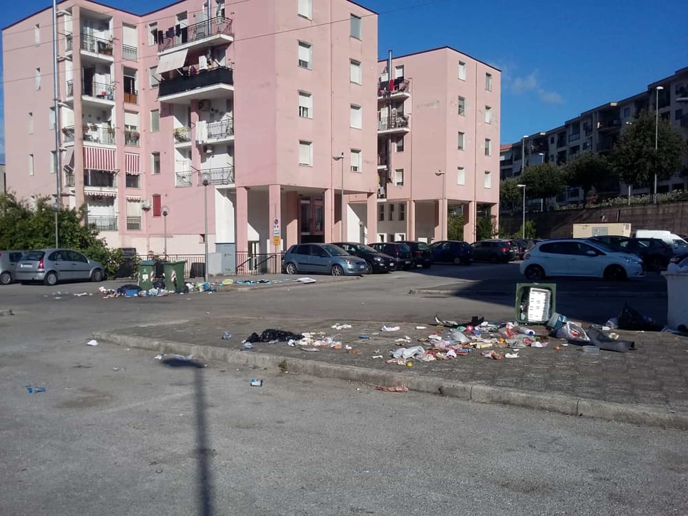 Bidoni della spazzatura distrutti dai cinghiali, a Salerno: la segnalazione