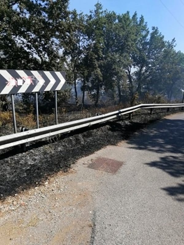 Incendio nel bosco di San Benedetto, a Pontecagnano Faiano