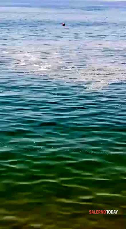 Mare sporco a Mercatello/Il video di Franco Cuomo