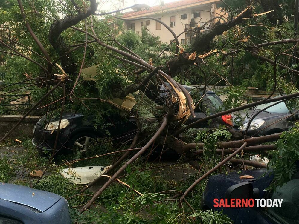 Tromba marina devasta Salerno: alberi sradicati e tegole volanti, paura al “Galiziano”