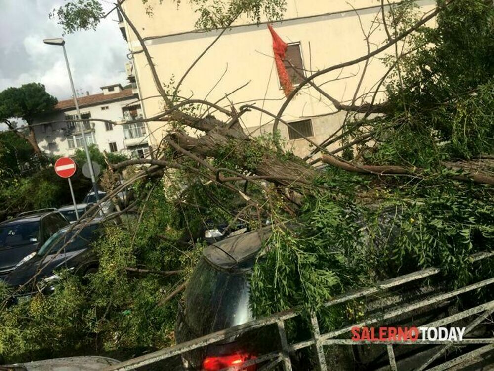 Danni per tromba d’aria a Salerno, il centrodestra: “Stato di calamità, Comune non fa prevenzione”