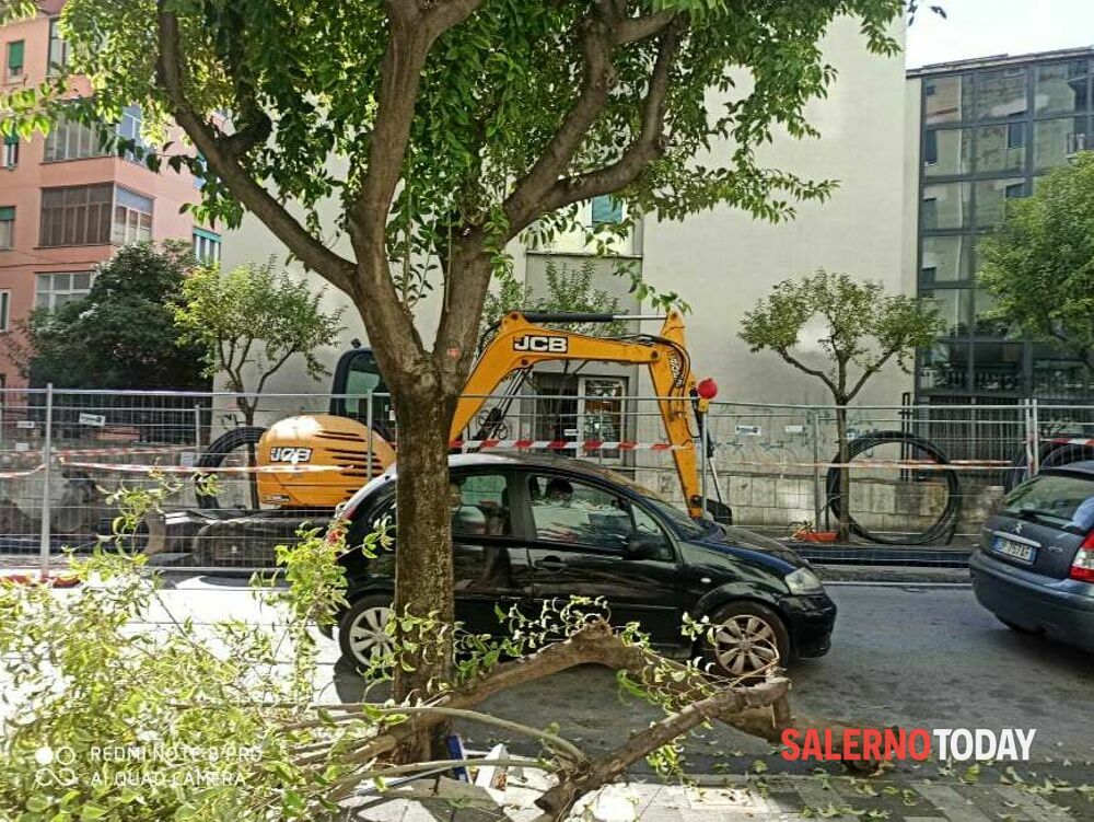 Lavori in via Memoli: code e disagi, il passaggio dei camion danneggia gli alberi