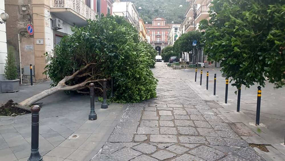 Pioggia e raffiche di vento: stesa di alberi e danni a Sarno, disagi in altre città