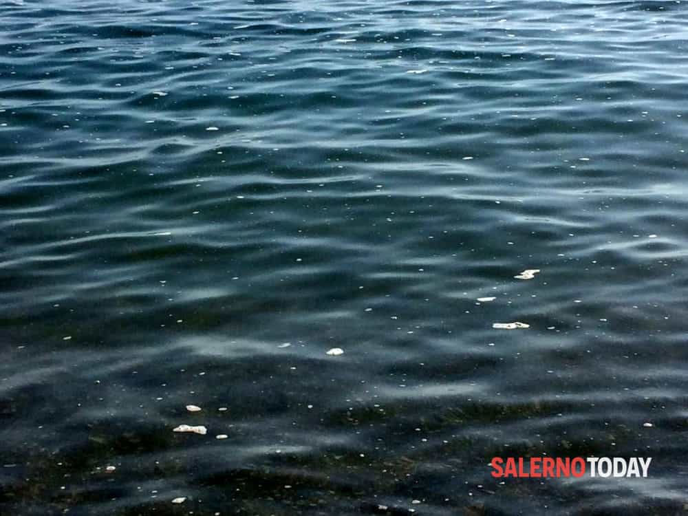 Macchie scure e melma nel mare a Salerno: l’interrogazione del consigliere Celano