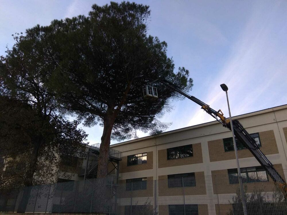 Approvato il progetto per la scuola dell’infanzia di Cicalesi a Nocera, conclusi i lavori al liceo di Angri