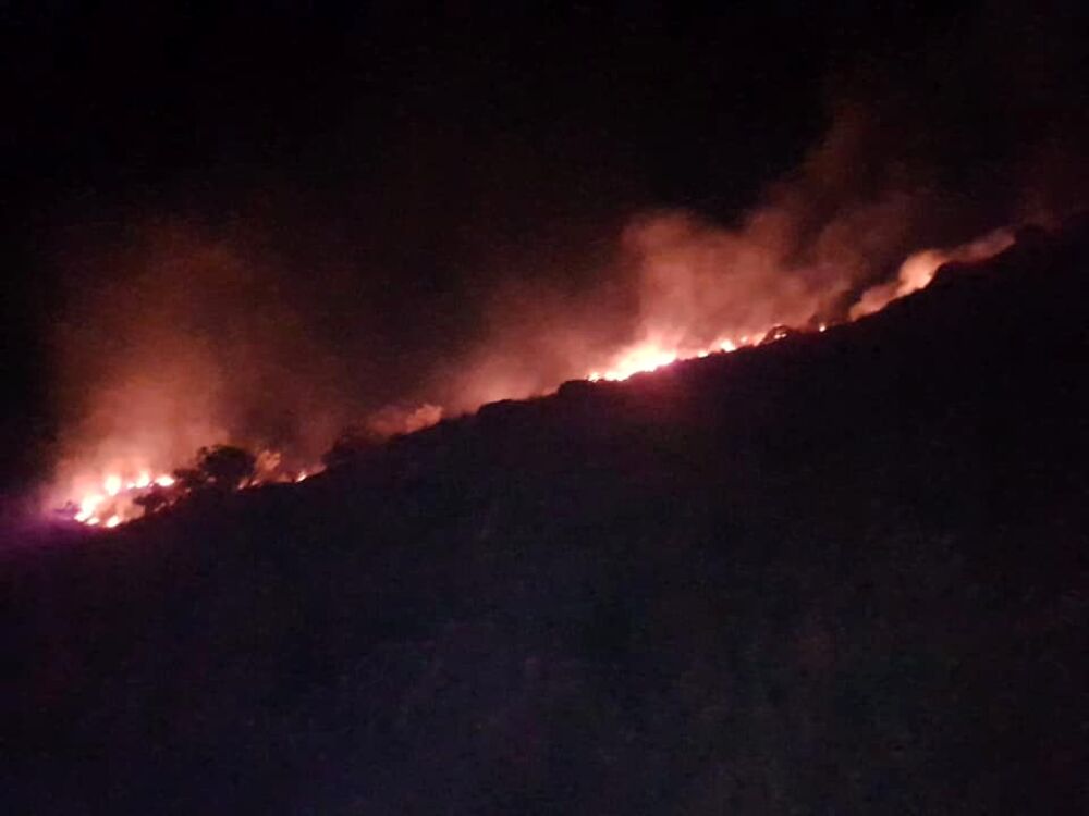 Macchia mediterranea in fiamme ad Agropoli: corrono i vigili del fuoco