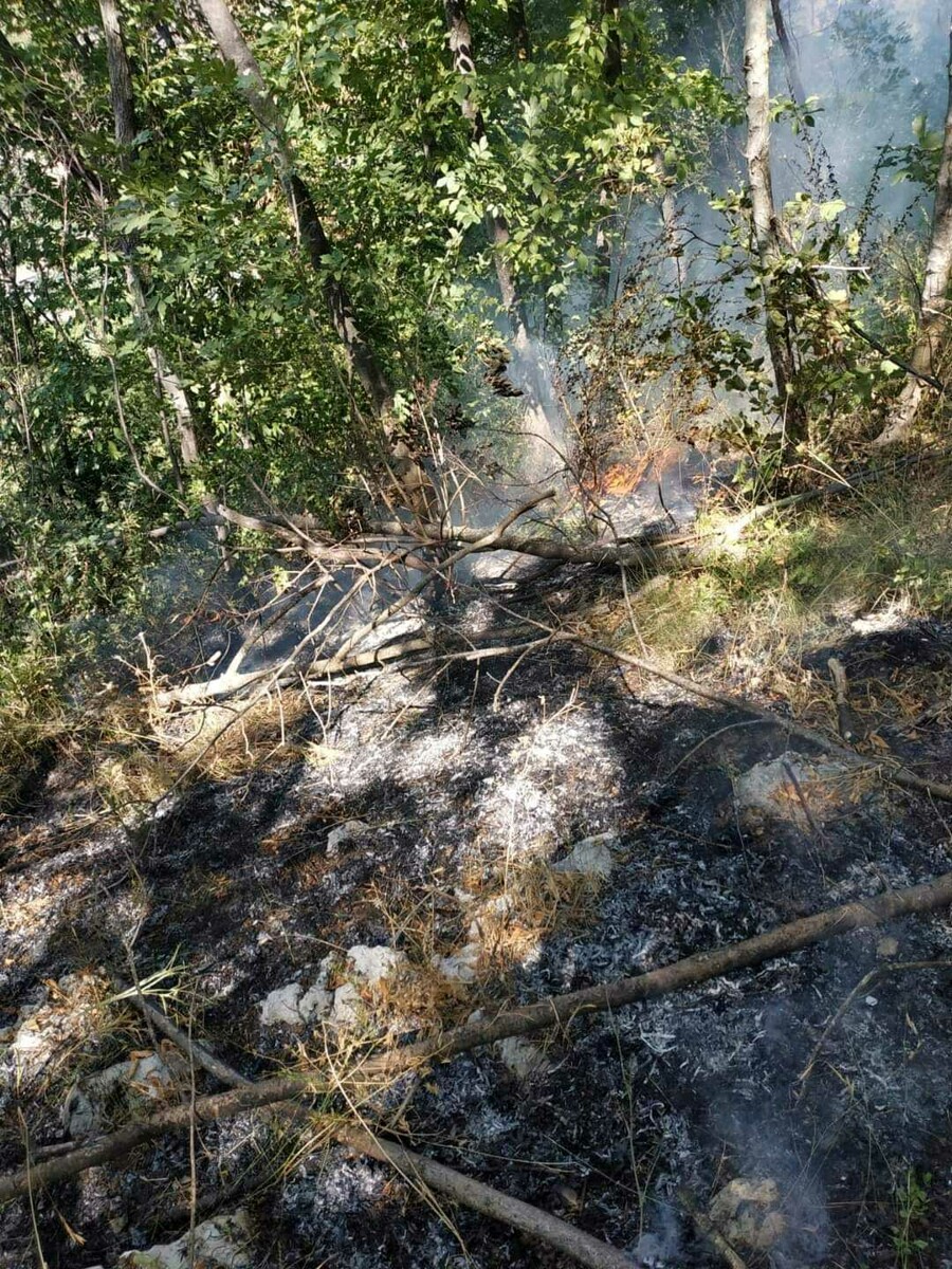 Tentano di incendiare la montagna a Cava: intervengono residenti e Protezione Civile