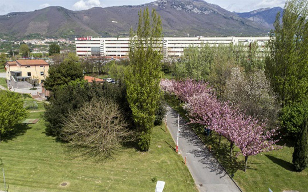 Università di Salerno: gli studenti tornano a vivere i campus di Fisciano e Baronissi
