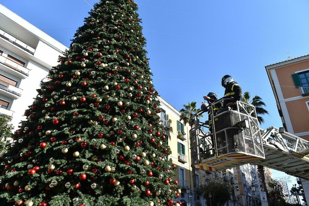 Luci e legalità, arriva la decorazione natalizia della Polizia sull’albero di piazza Portanova