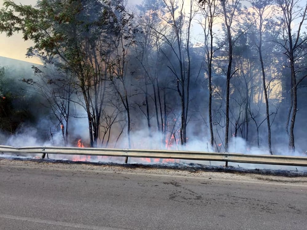 Vegetazione in fiamme vicino alla SS517 a Sanza: corrono i pompieri