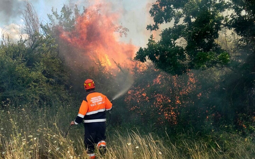 Protezione civile, al via i corsi provinciali per Operatori Antincendio Boschivo