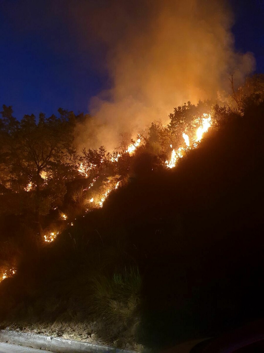 Bosco in fiamme tra Padula e Montesano: corrono i pompieri