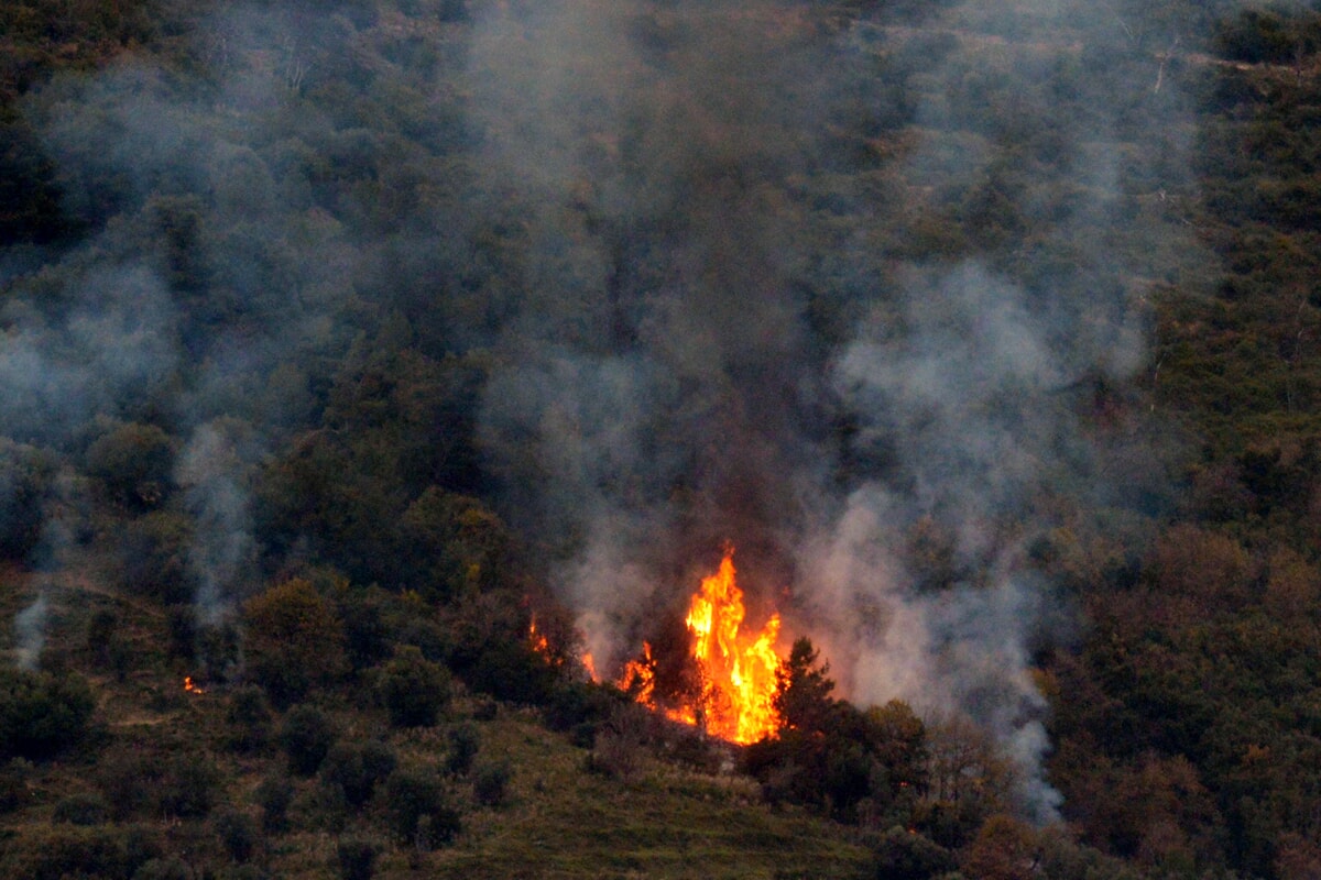 Incendio a Salerno, in zona San Leonardo: corrono i caschi rossi