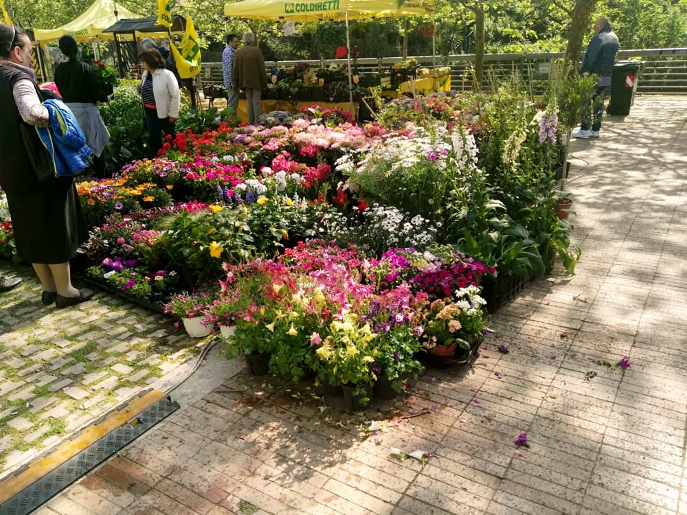 Prodotti biologici, fiori e colori: al Parco Pinocchio ritorna “Salerno in Flora”