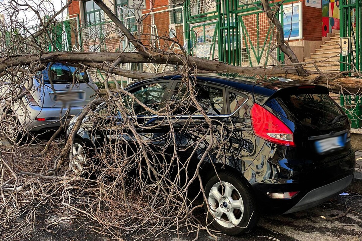 Maltempo, albero cade su un’auto a Torrione
