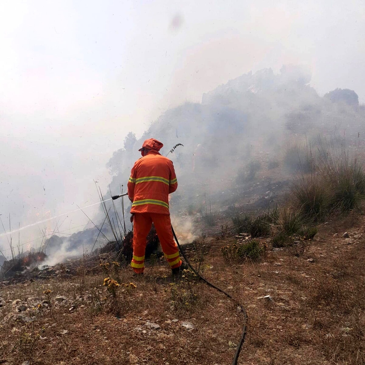 Incendi a Montecorice e San Giovanni a Piro: in azione elicotteri e canadair della Protezione Civile
