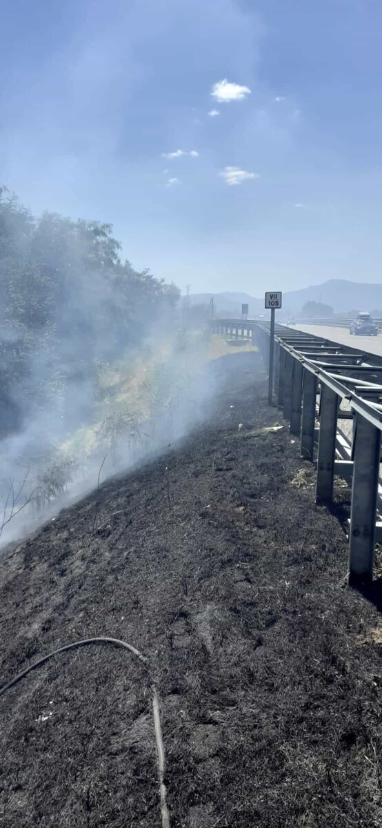 Incendio ai margini dell’autostrada del Mediterraneo: l’intervento