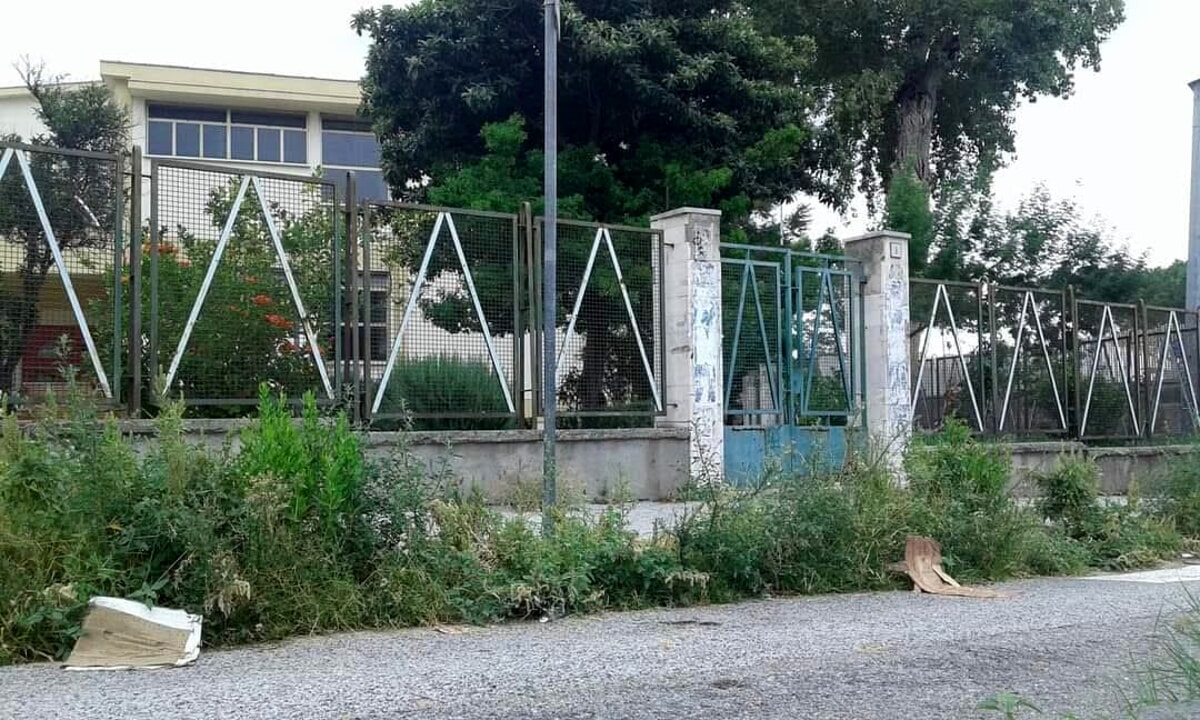 Erba selvatica davanti alle scuole di Salerno, Celano (Fi): “Ma il Comune dov’è?”
