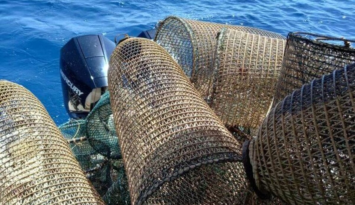 Pesca illegale vicino al porto di Acciaroli: scatta il sequestro