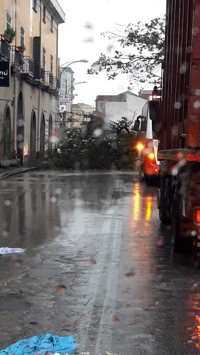 Alberi caduti ed allagamenti a Salerno e provincia: chiusa strada tra Pagani e San Marzano