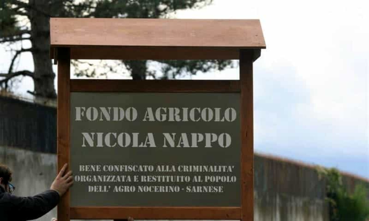 Beni confiscati, 1,5 milioni dal Pnrr per il fondo agricolo “Nappo”