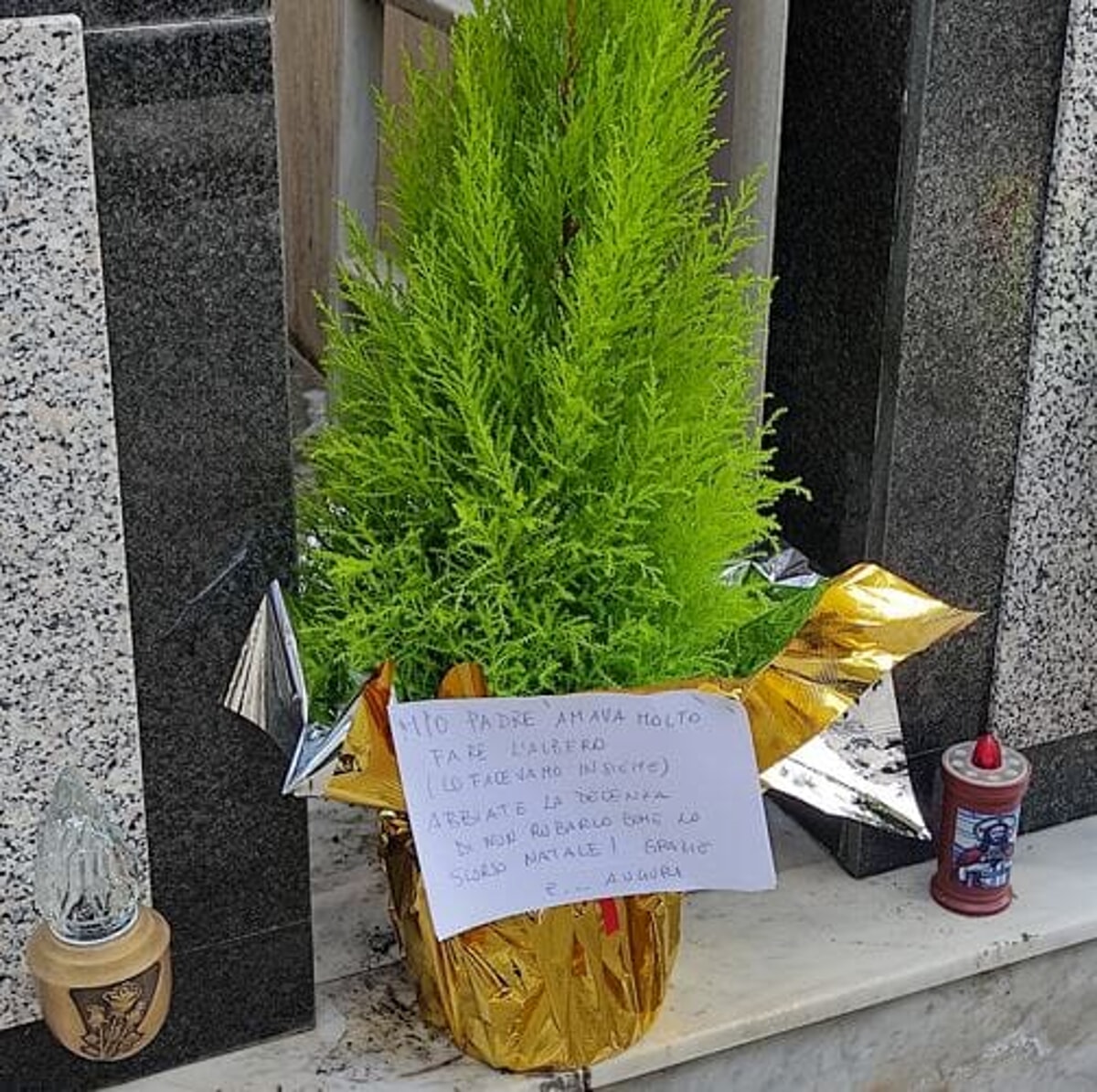 Il messaggio davanti alla tomba del padre: “L’albero di Natale gli piaceva, non rubatelo”