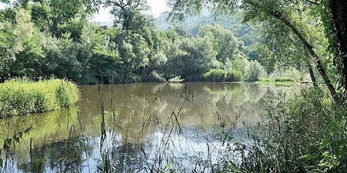 Autodepurazione del fiume sugli ex laghetti del Parco Urbano dell’Irno: l’intervento dimostrativo di bio-attivazione