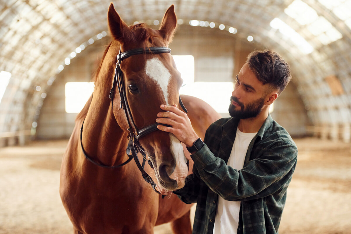Come creare un legame profondo con il cavallo: i consigli per conquistare la sua fiducia