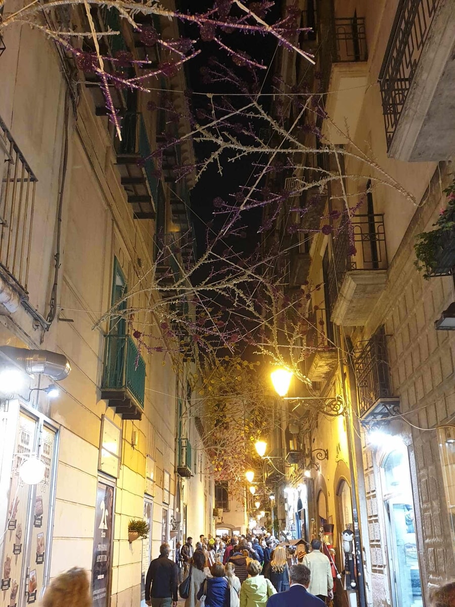 Luci d’Artista, spuntano rami colorati nel centro storico di Salerno